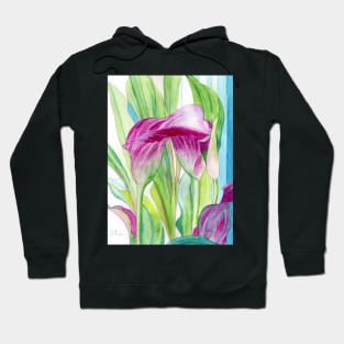 Pink Calla lilies watercolour painting Hoodie